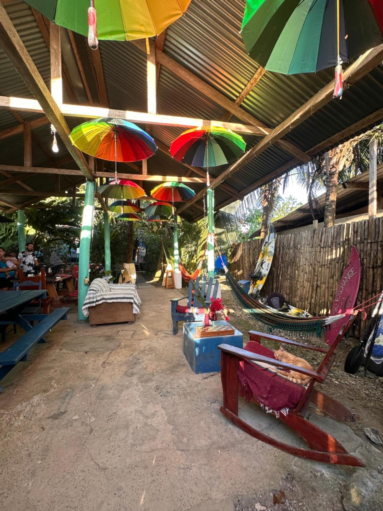 Hotel La Y Surf Camp Bocas del Toro Exterior foto
